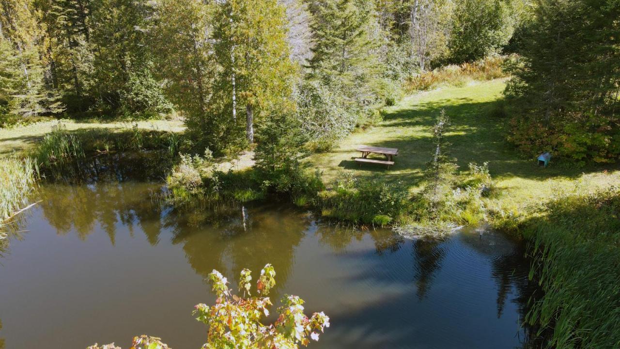 La Cabane Secrete Matane Exteriör bild