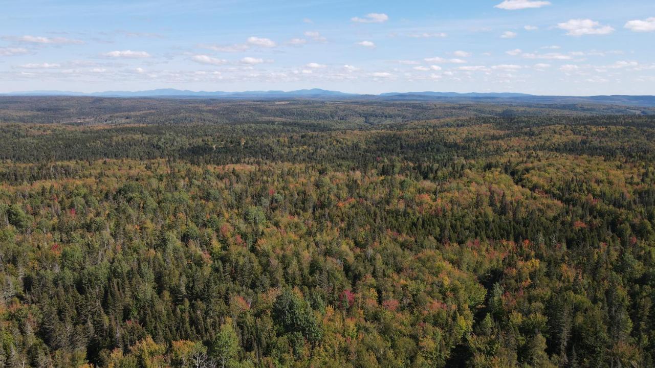 La Cabane Secrete Matane Exteriör bild