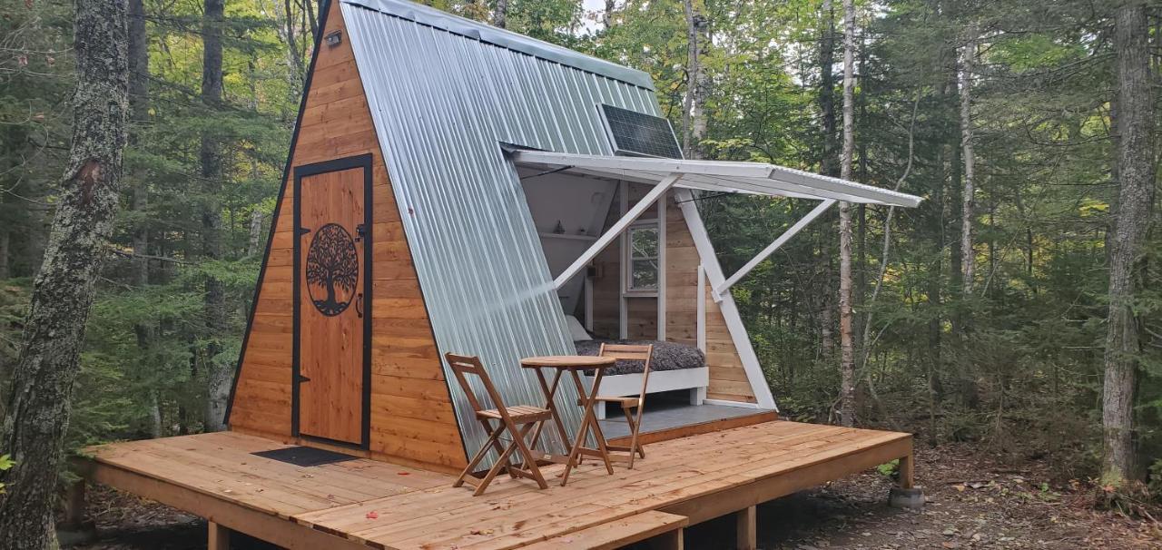 La Cabane Secrete Matane Exteriör bild