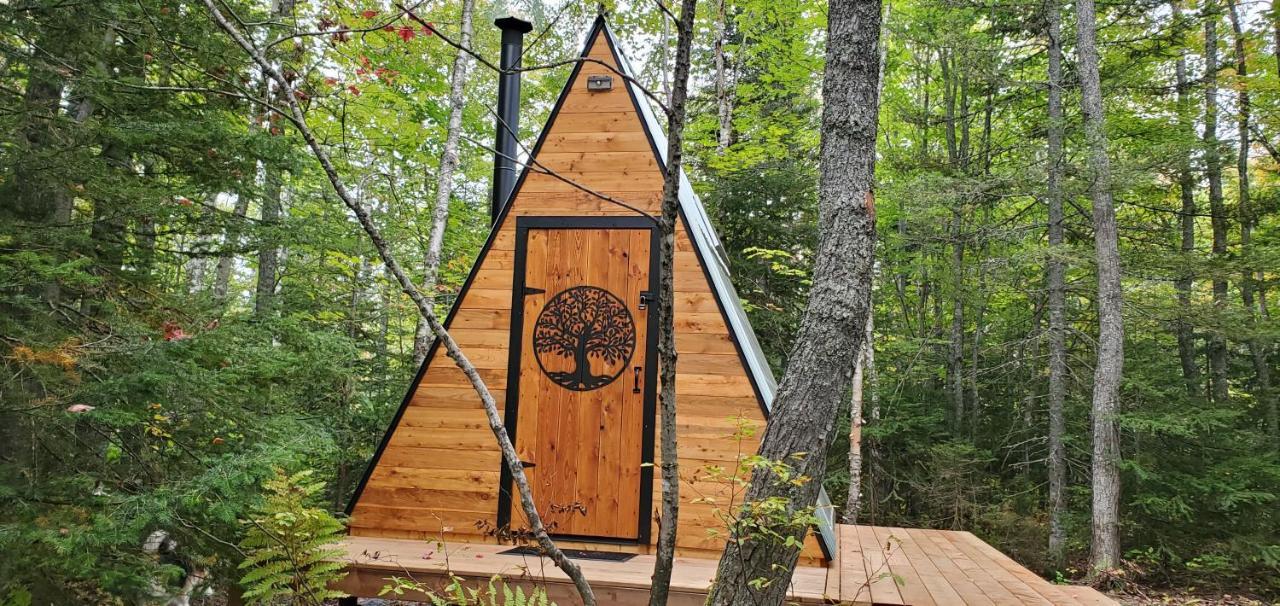La Cabane Secrete Matane Exteriör bild
