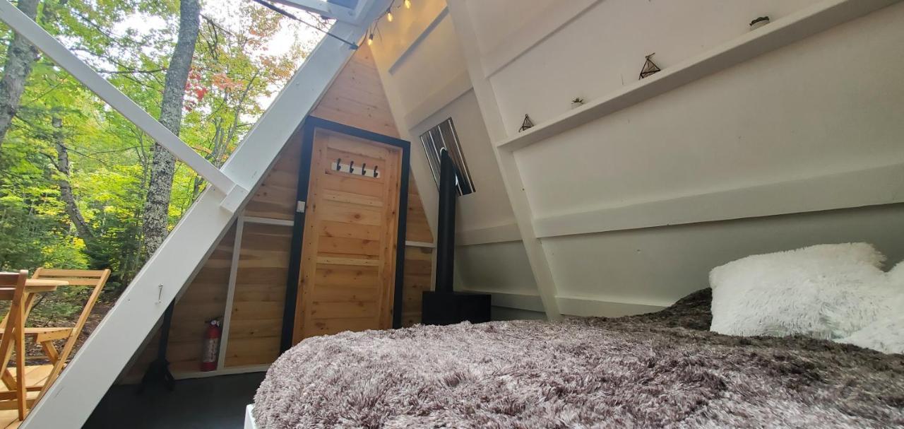 La Cabane Secrete Matane Exteriör bild