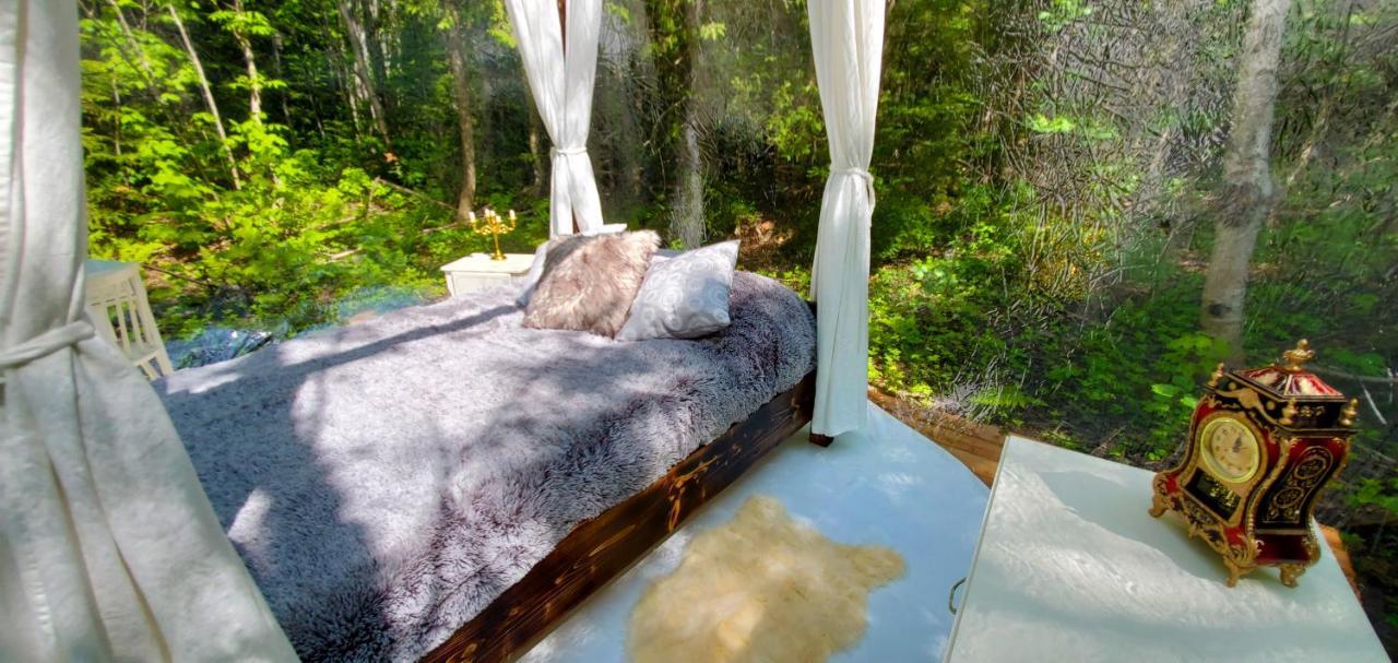 La Cabane Secrete Matane Exteriör bild
