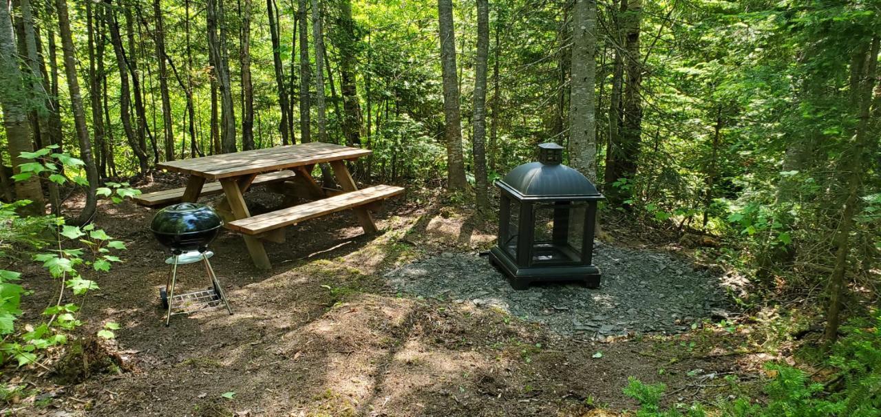 La Cabane Secrete Matane Exteriör bild